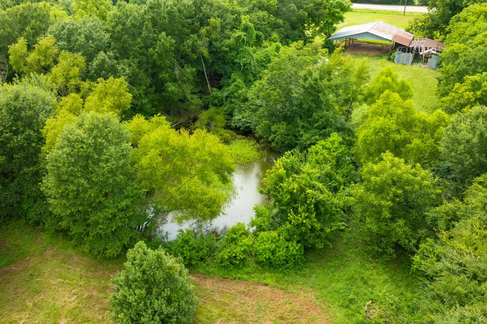 5310 Farm Road 195 Paris, TX 75462