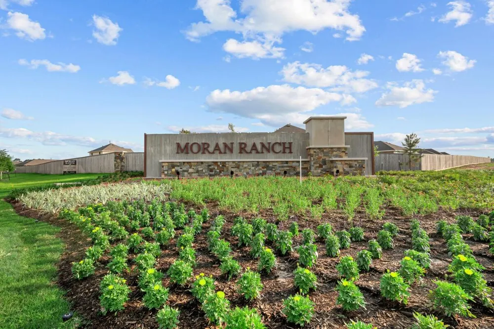 613 Falling Cave Drive Willis, TX 77378