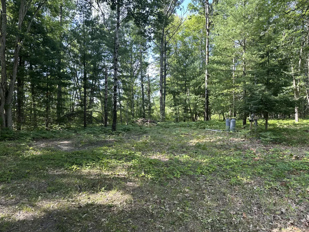 802 Beaver Road Bitely, MI 49309