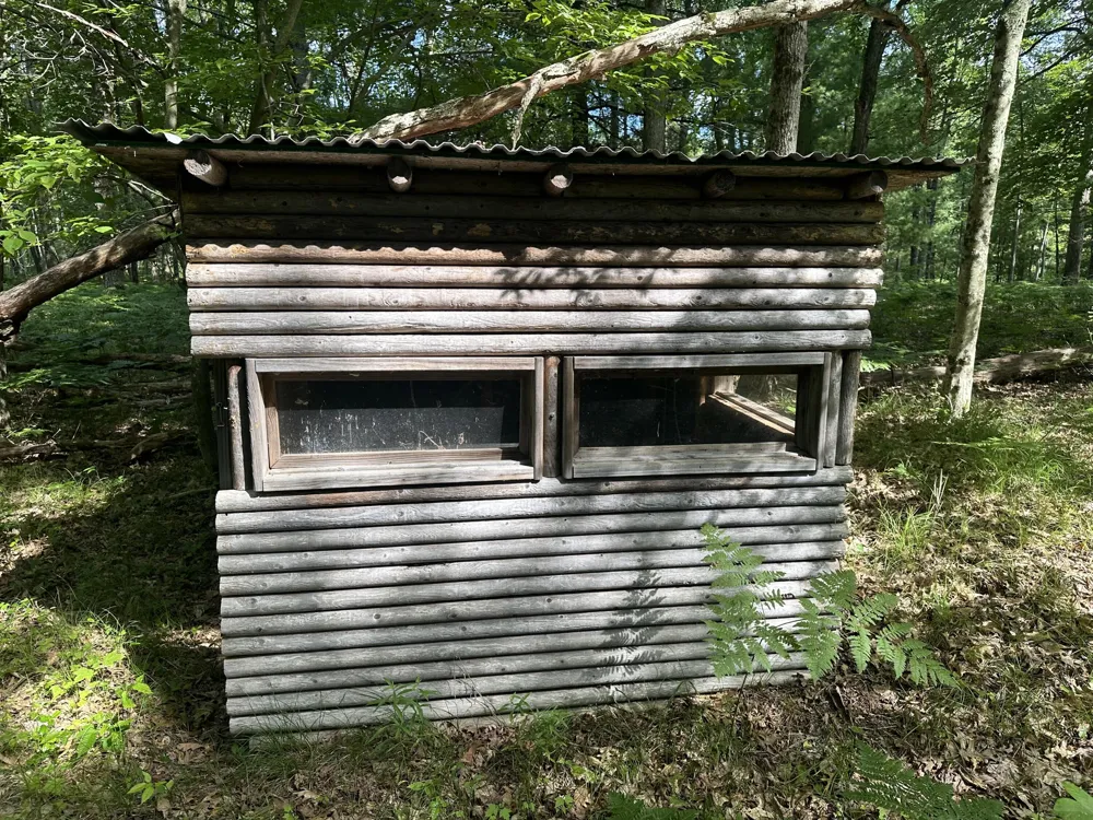 802 Beaver Road Bitely, MI 49309