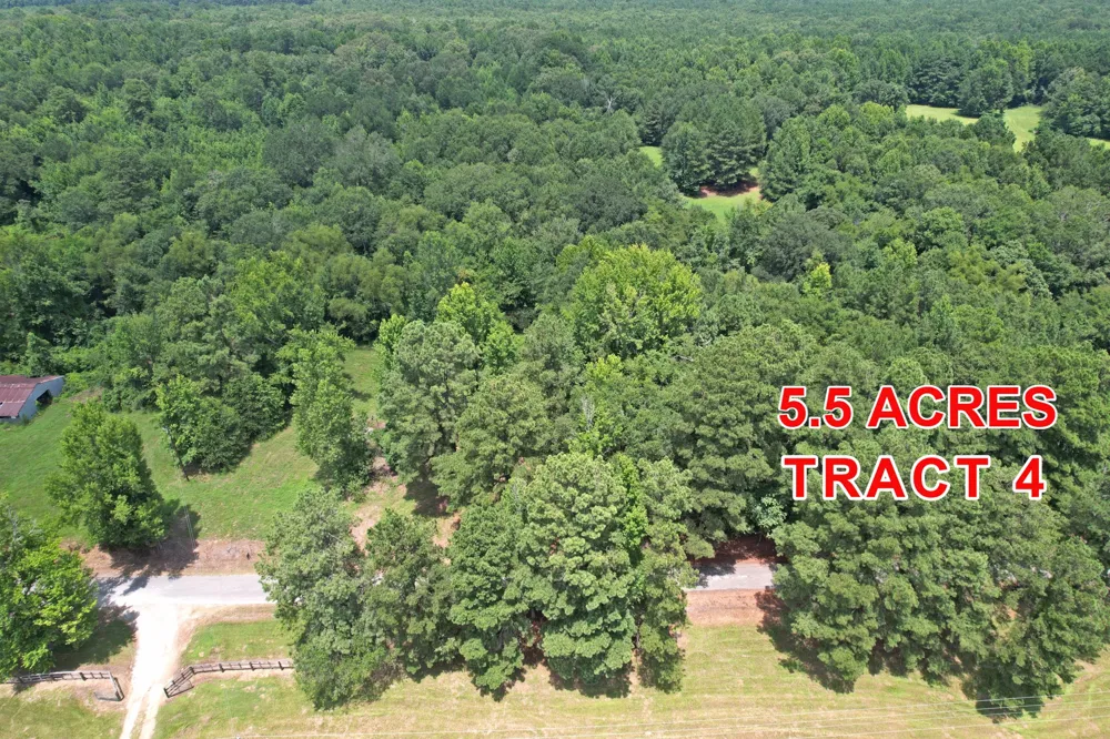 County Road 3117 Clarksville, TX 75426