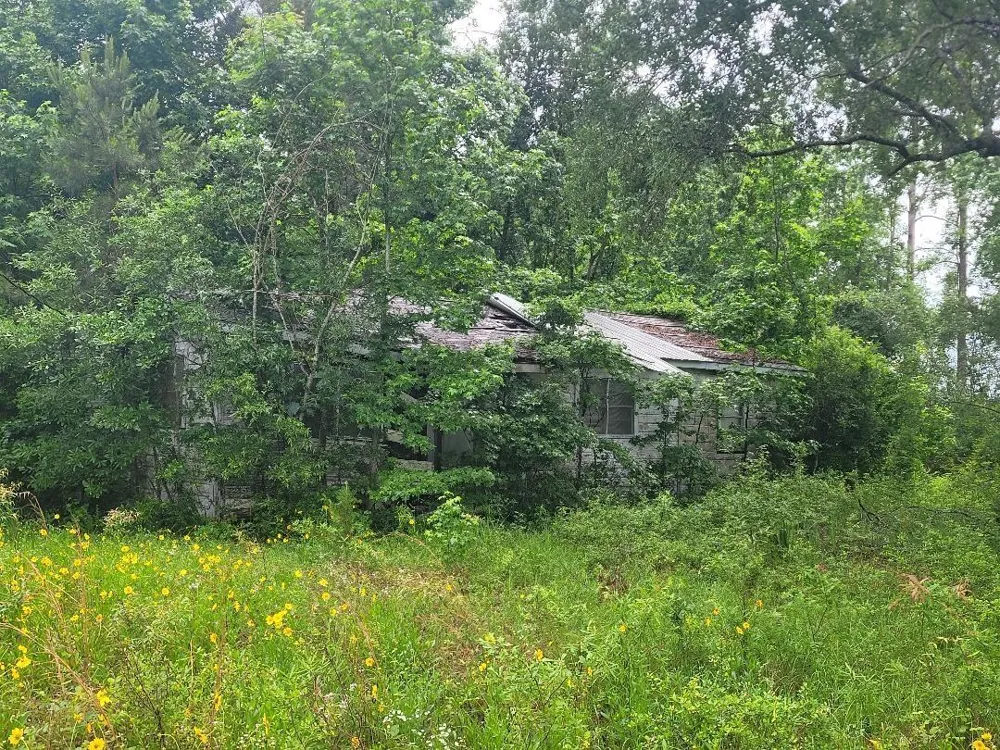 Fm 1012 Newton, TX 75966