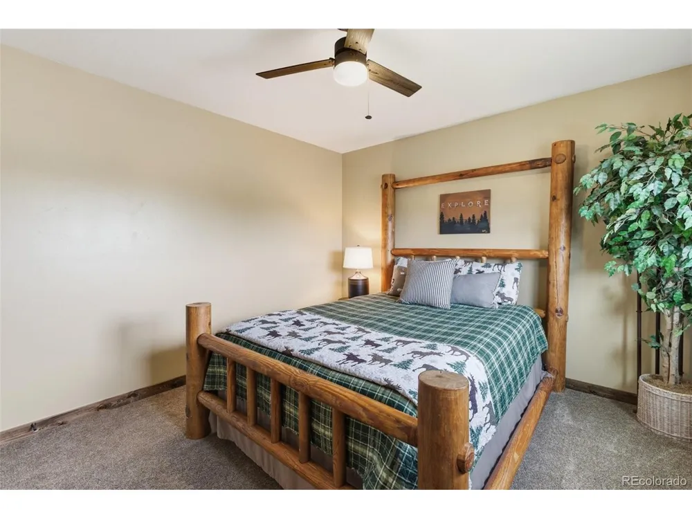 1860 Blackfoot Trail Woodland Park, CO 80863