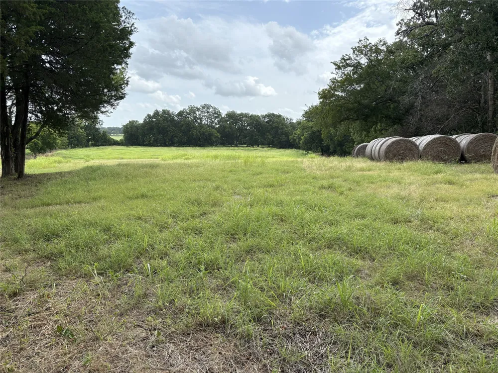 W State Hwy 31 Purdon, TX 76679