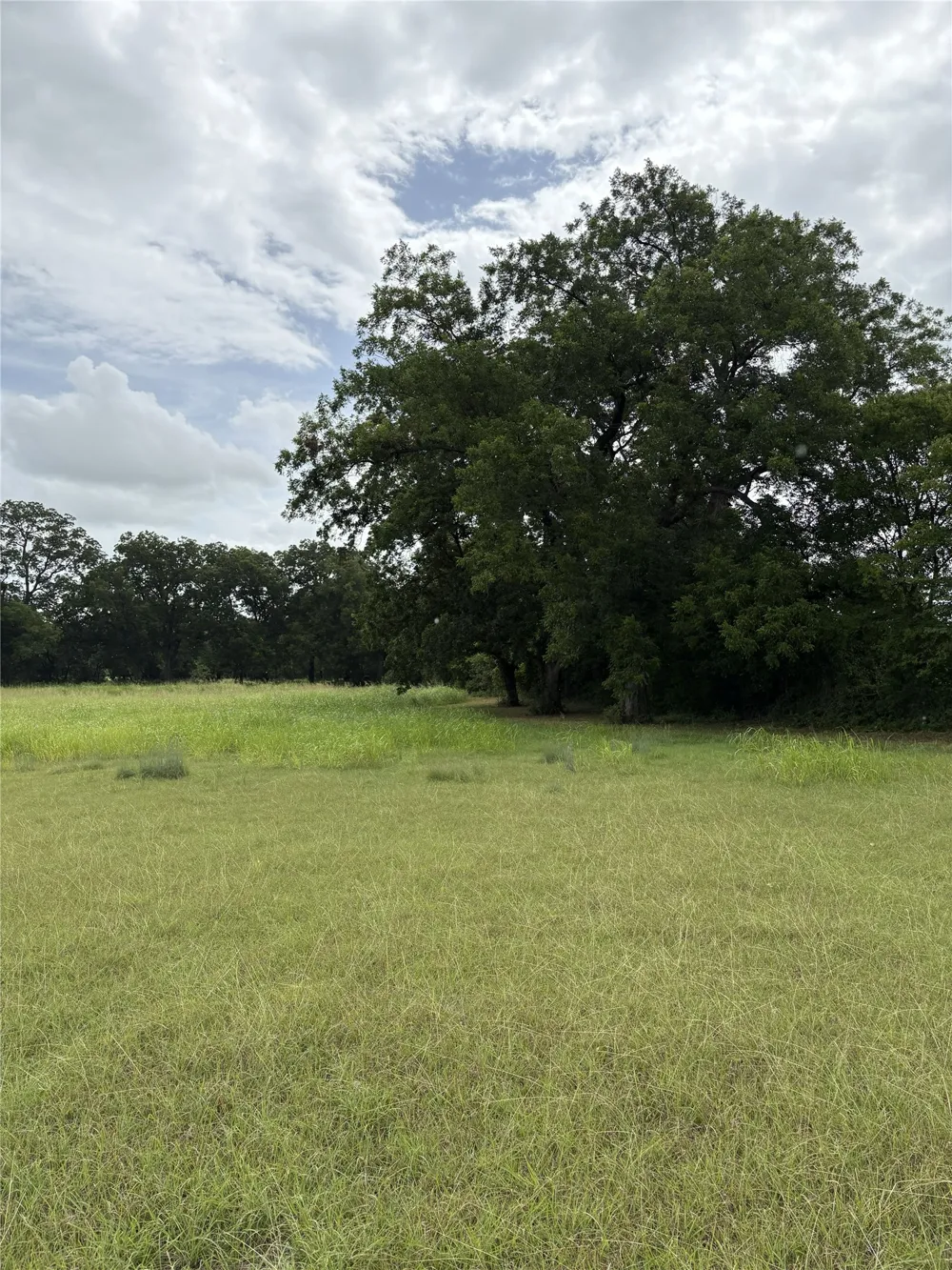 W State Hwy 31 Purdon, TX 76679