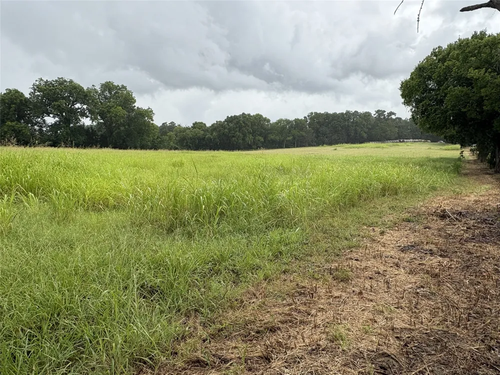 W State Hwy 31 Purdon, TX 76679