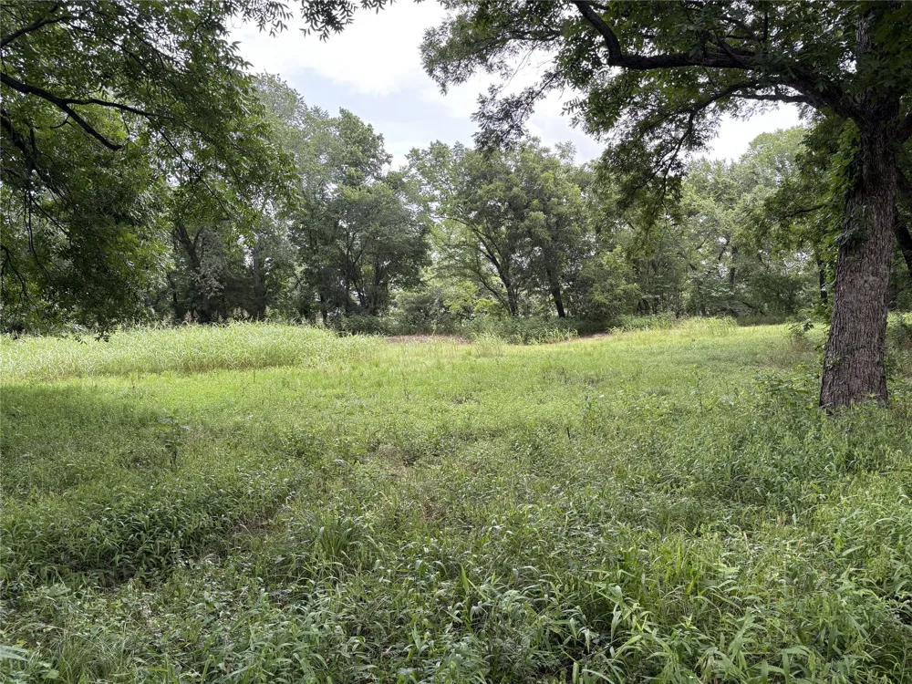 W State Hwy 31 Purdon, TX 76679