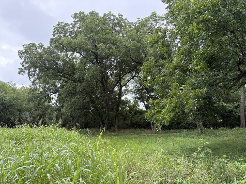 W State Hwy 31 Purdon, TX 76679