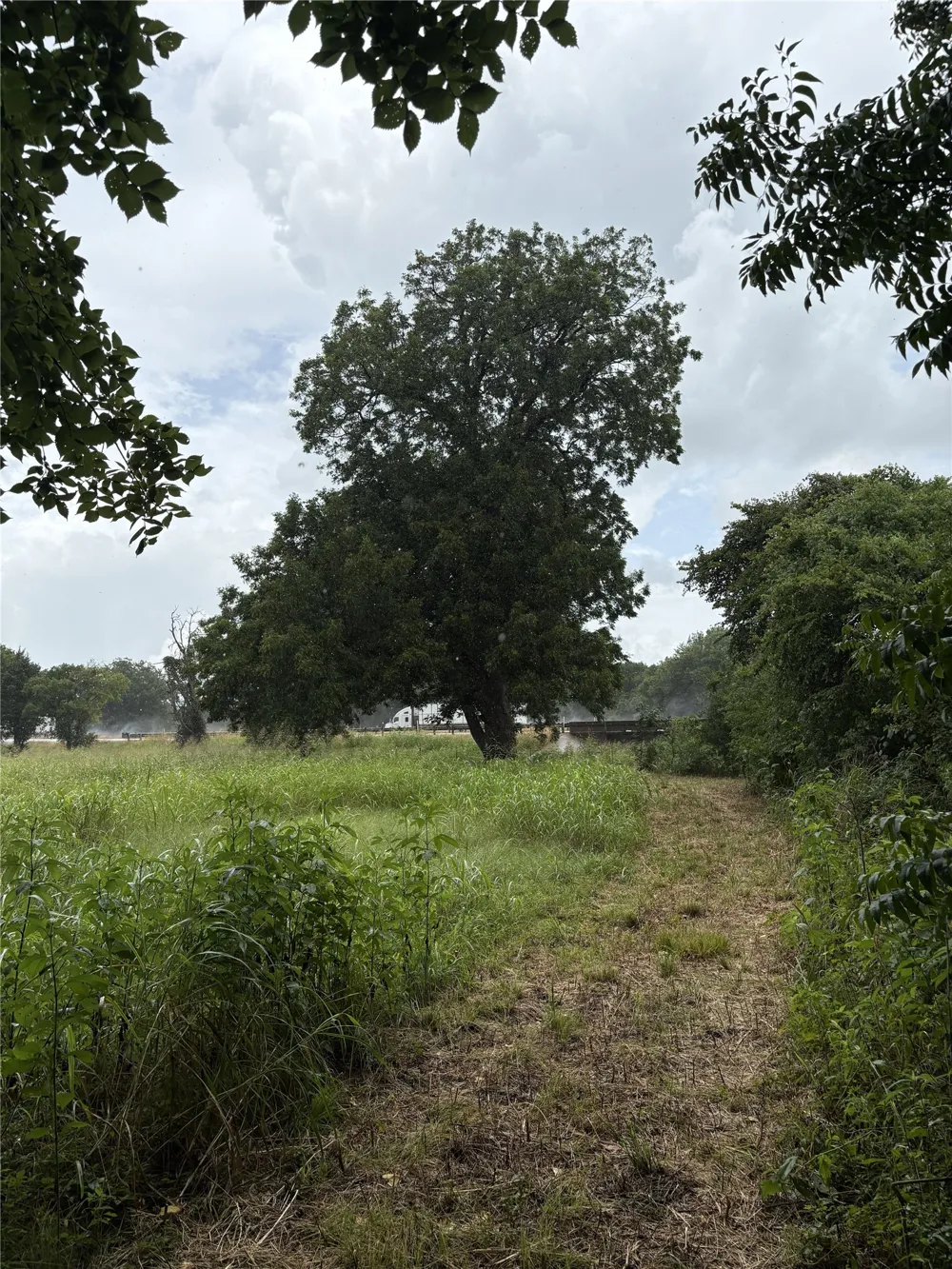 W State Hwy 31 Purdon, TX 76679