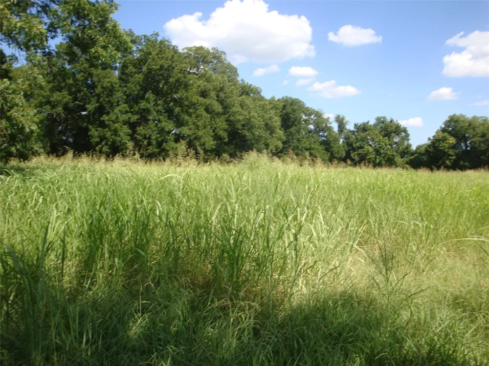 W State Hwy 31 Purdon, TX 76679