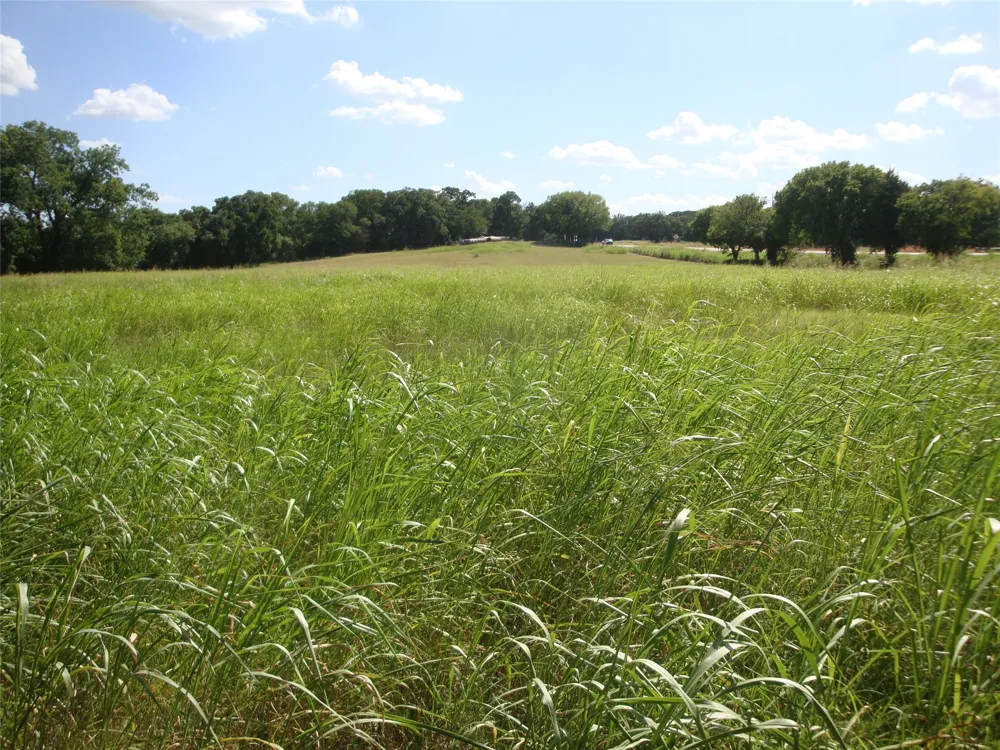 W State Hwy 31 Purdon, TX 76679