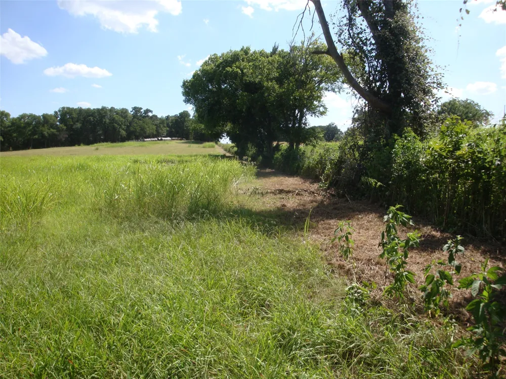W State Hwy 31 Purdon, TX 76679