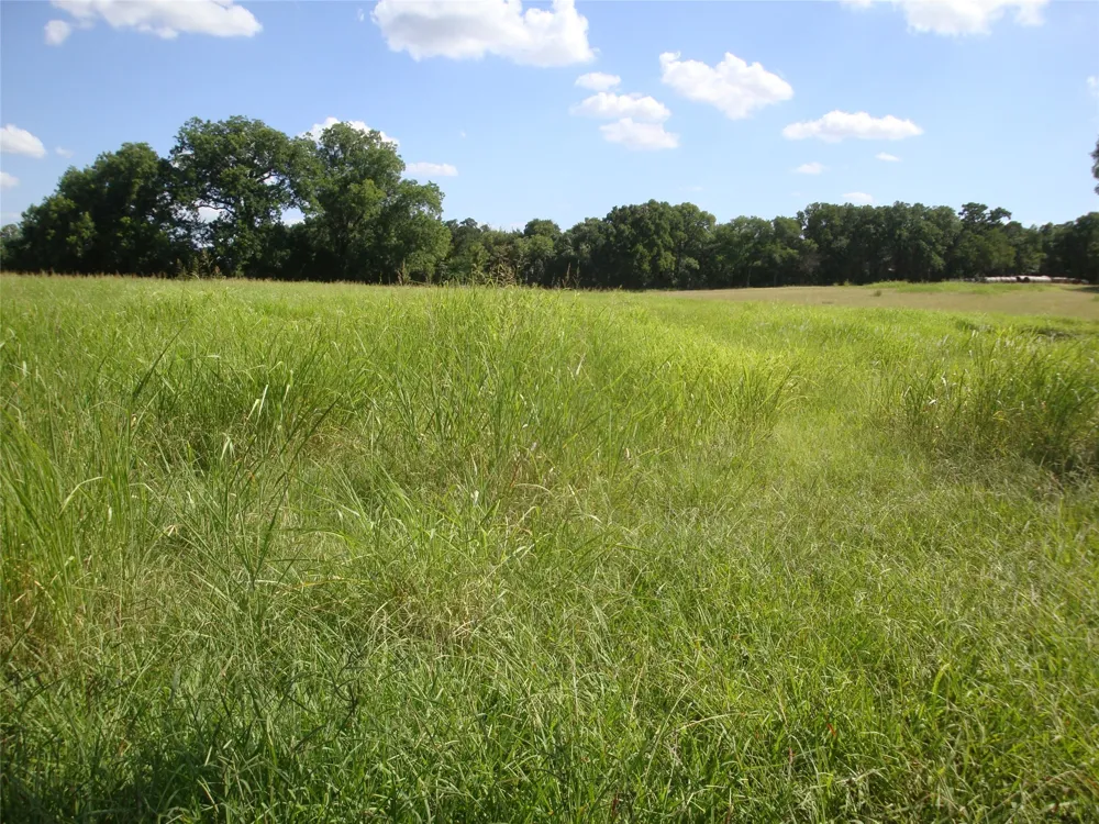 W State Hwy 31 Purdon, TX 76679