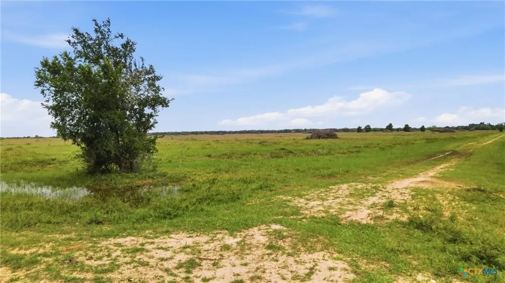 Fm 530 Hallettsville, TX 77964