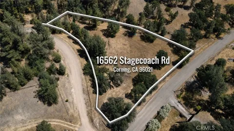 16562 Stagecoach