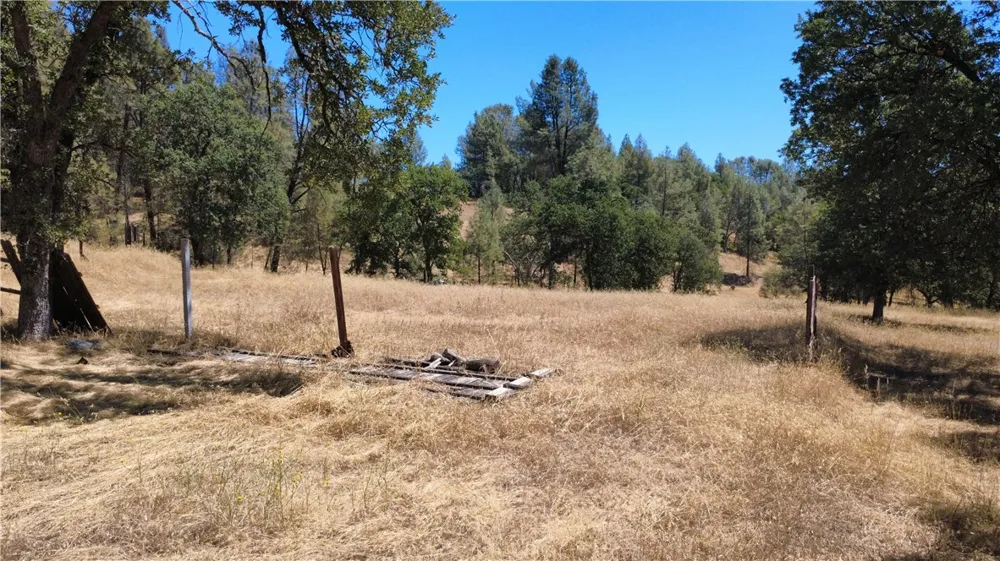 16562 Stagecoach Corning, CA 96021