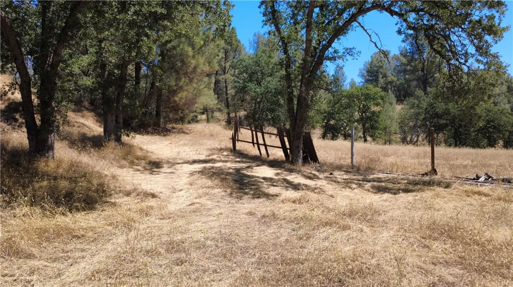 16562 Stagecoach Corning, CA 96021