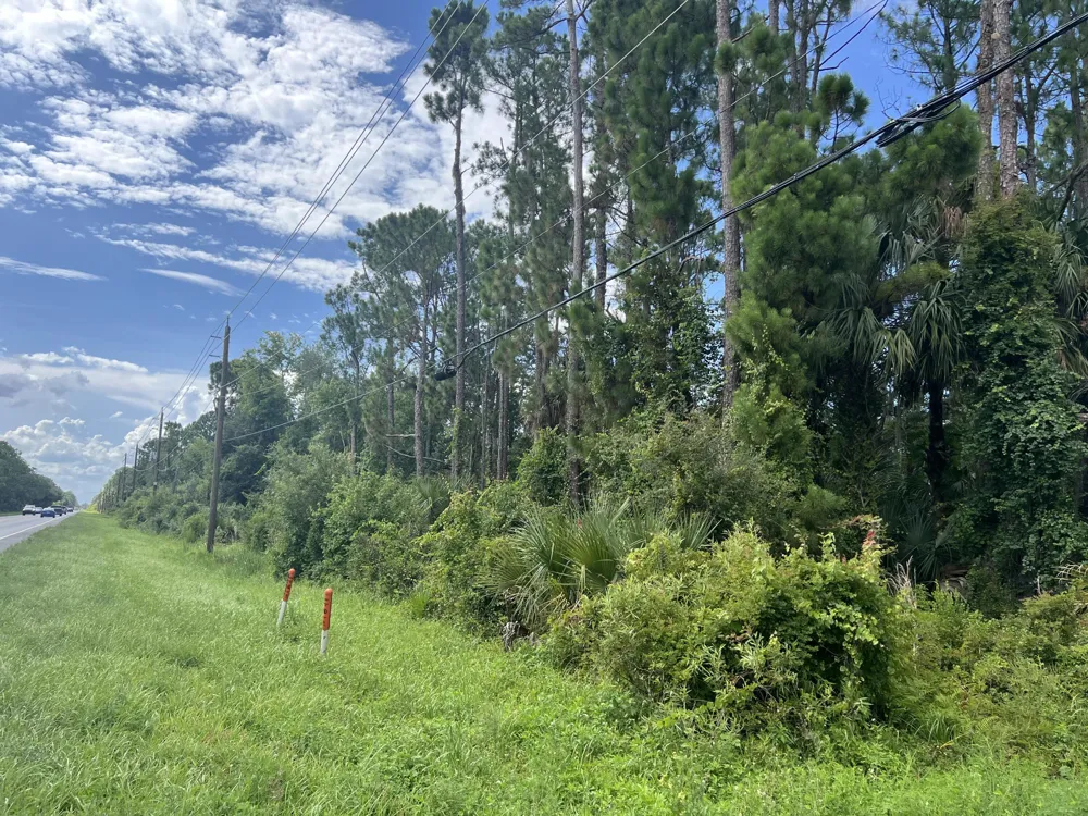 Highway 46 Geneva, FL 32732