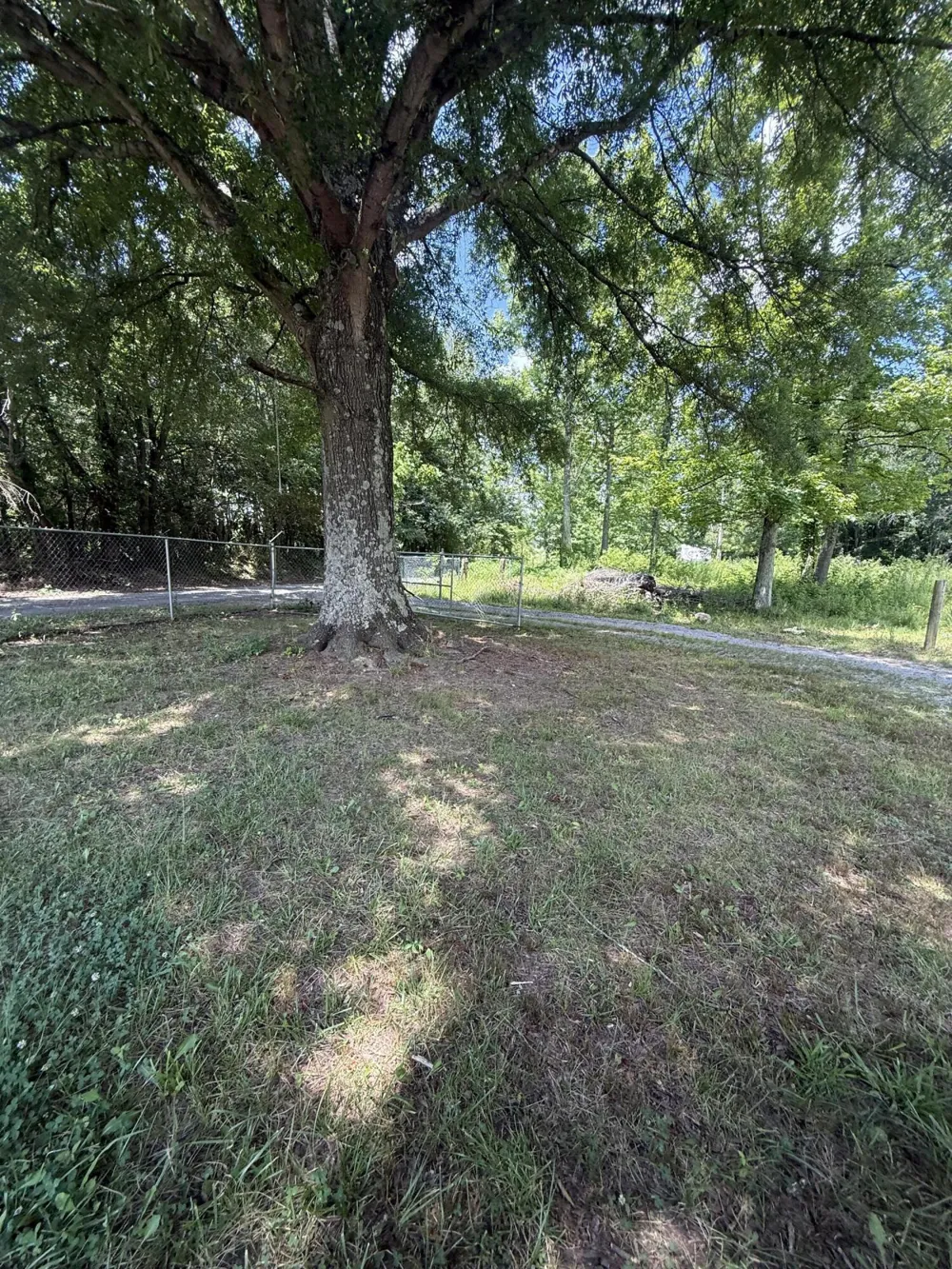 202 County Road Higdon, AL 35979