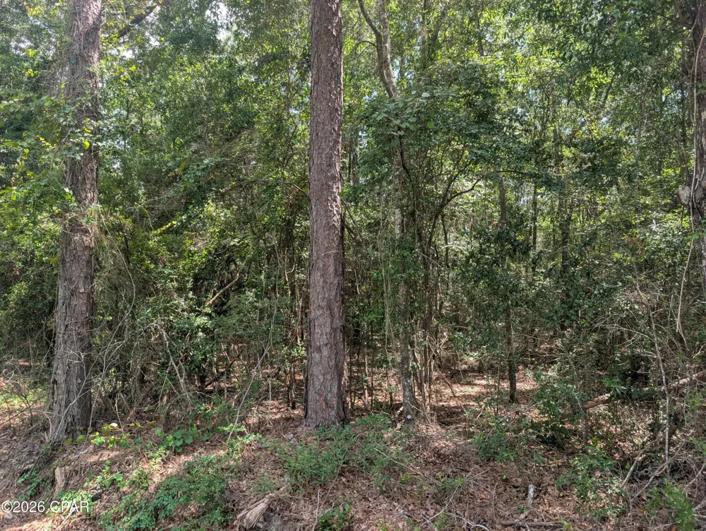 Marian Drive Bonifay, FL 32425