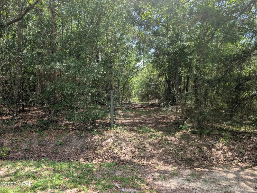 Marian Drive Bonifay, FL 32425