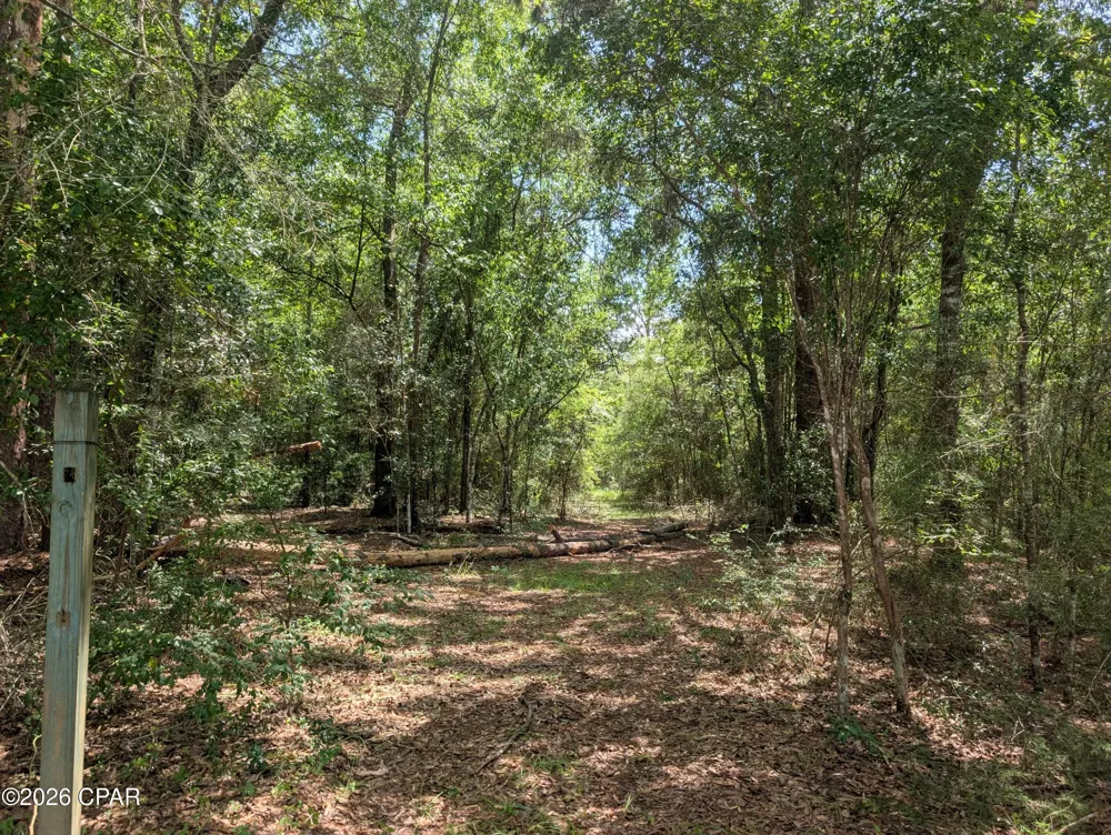 Marian Drive Bonifay, FL 32425