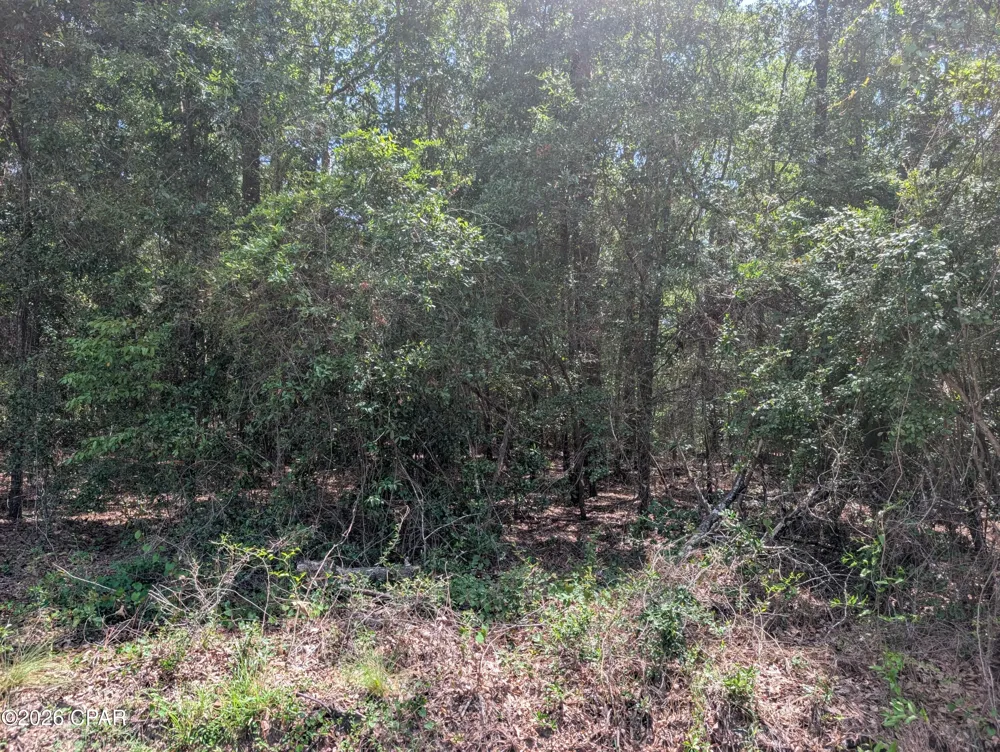 Marian Drive Bonifay, FL 32425
