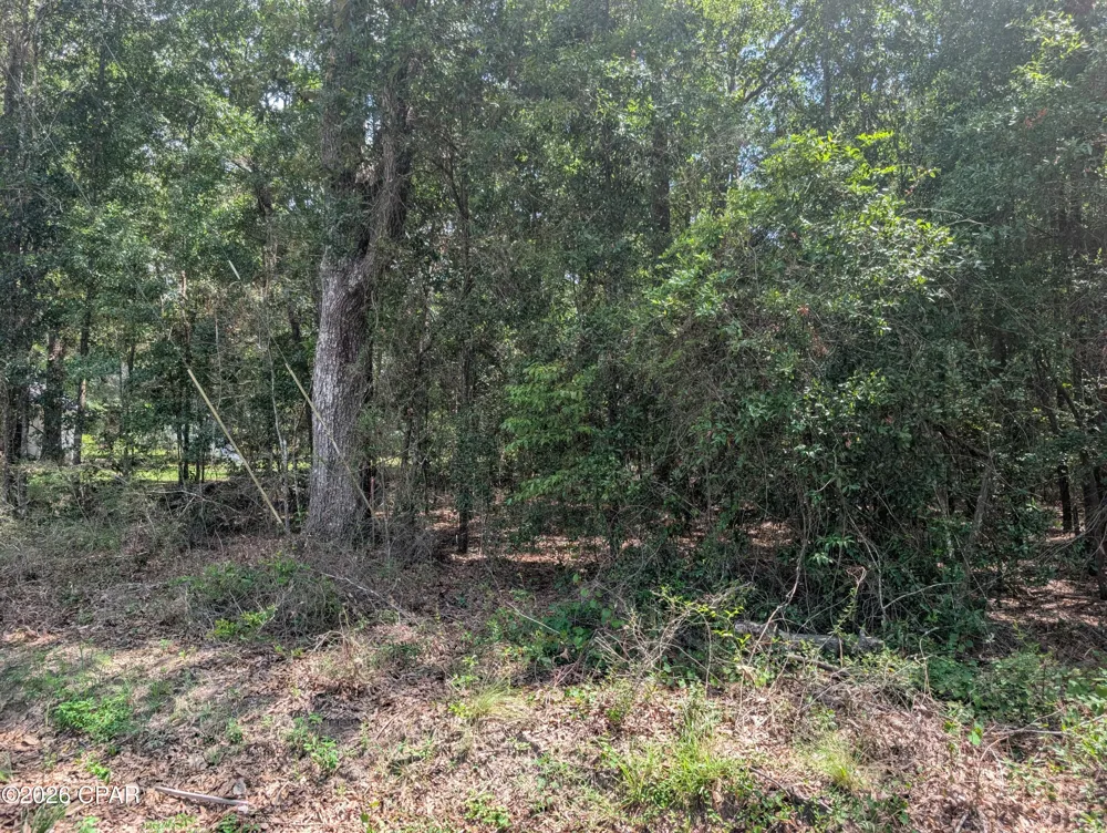 Marian Drive Bonifay, FL 32425
