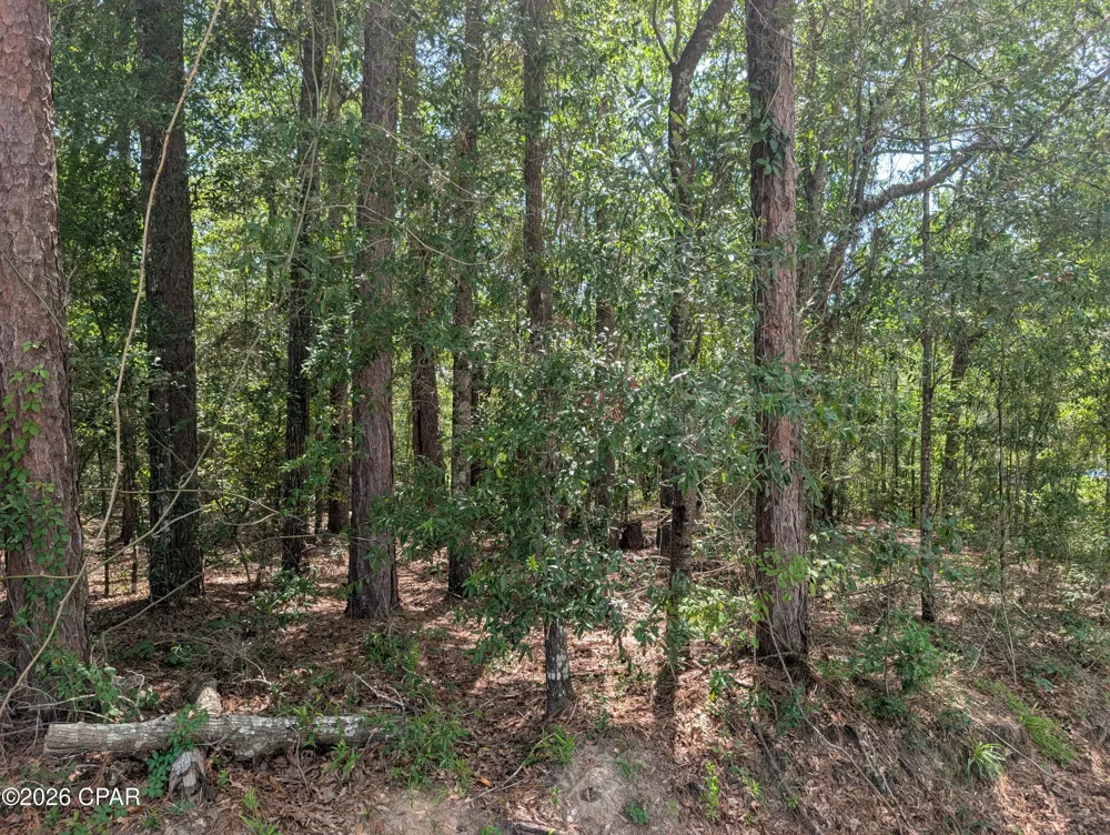 Marian Drive Bonifay, FL 32425