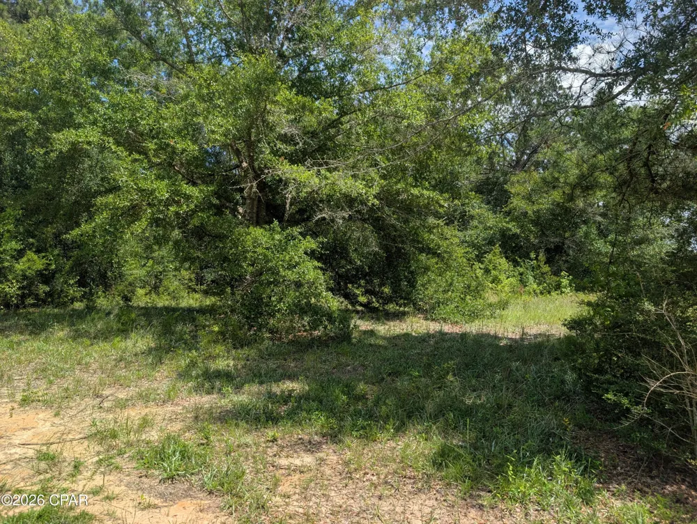 Marian Drive Bonifay, FL 32425