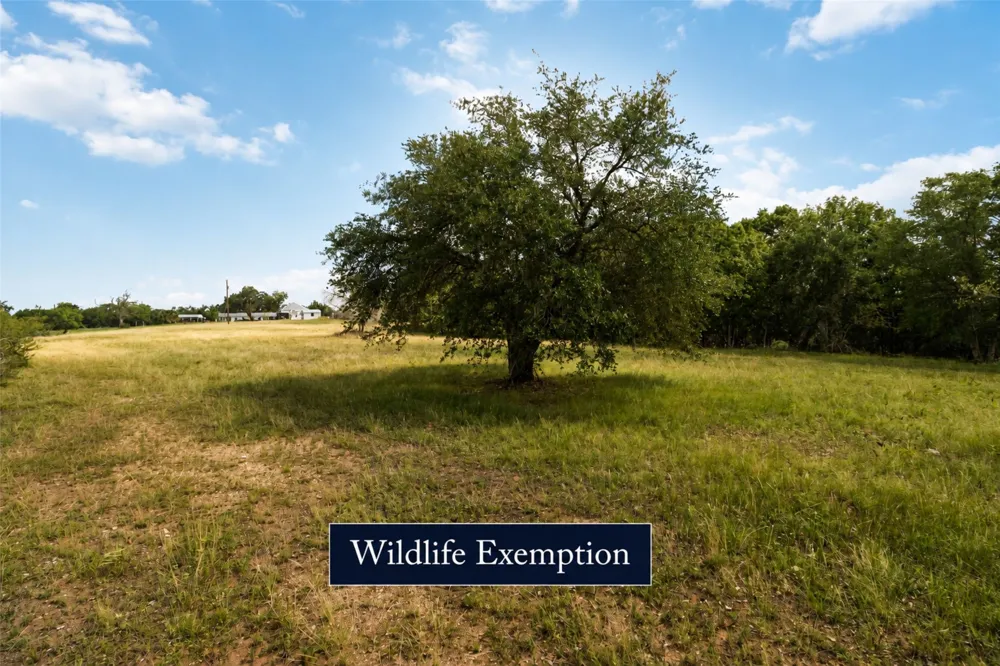 227 Henderson Lane Lockhart, TX 78644