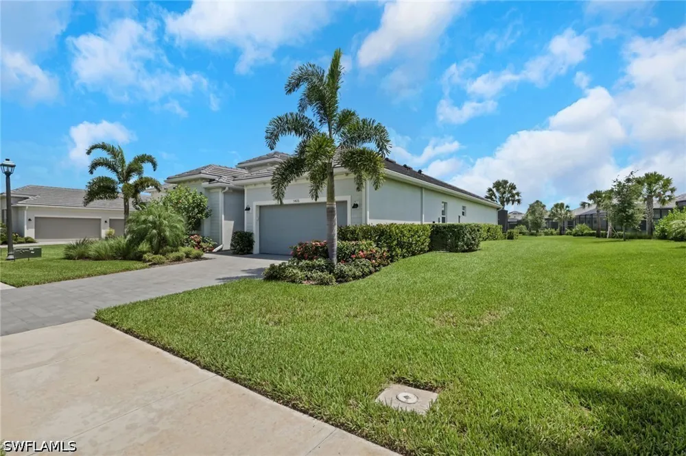Ternberry Road Ave Maria, FL 34142