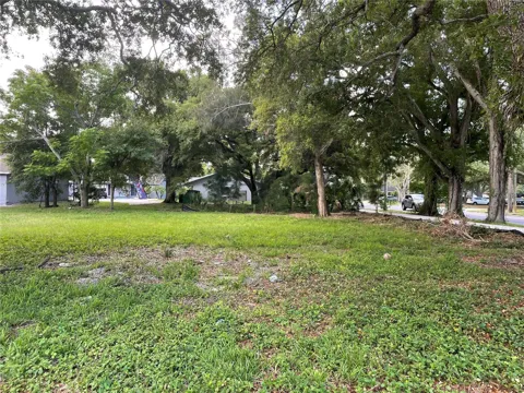 PINELLAS STREET
