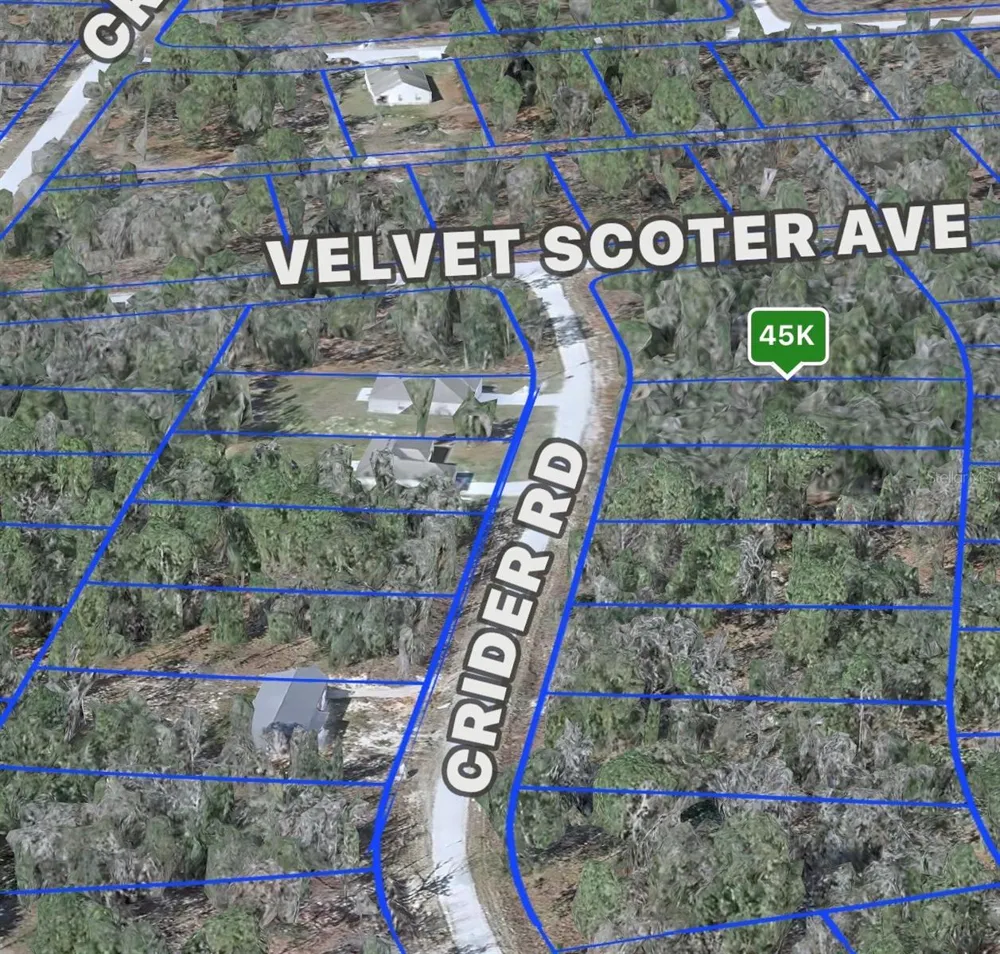 CRIDER ROAD #3 Weeki Wachee, FL 34614