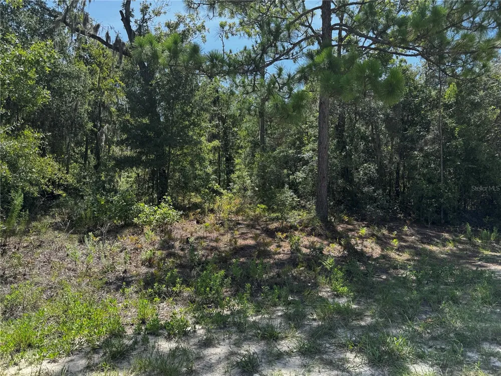 CRIDER ROAD #3 Weeki Wachee, FL 34614