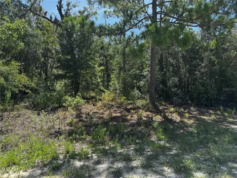 CRIDER ROAD #3