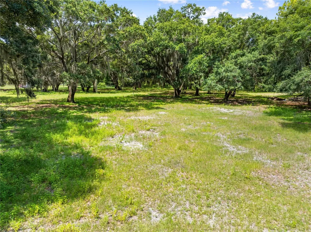 0 HICKORY TREE RD. SAINT CLOUD, FL #34772 St Cloud, FL 34772