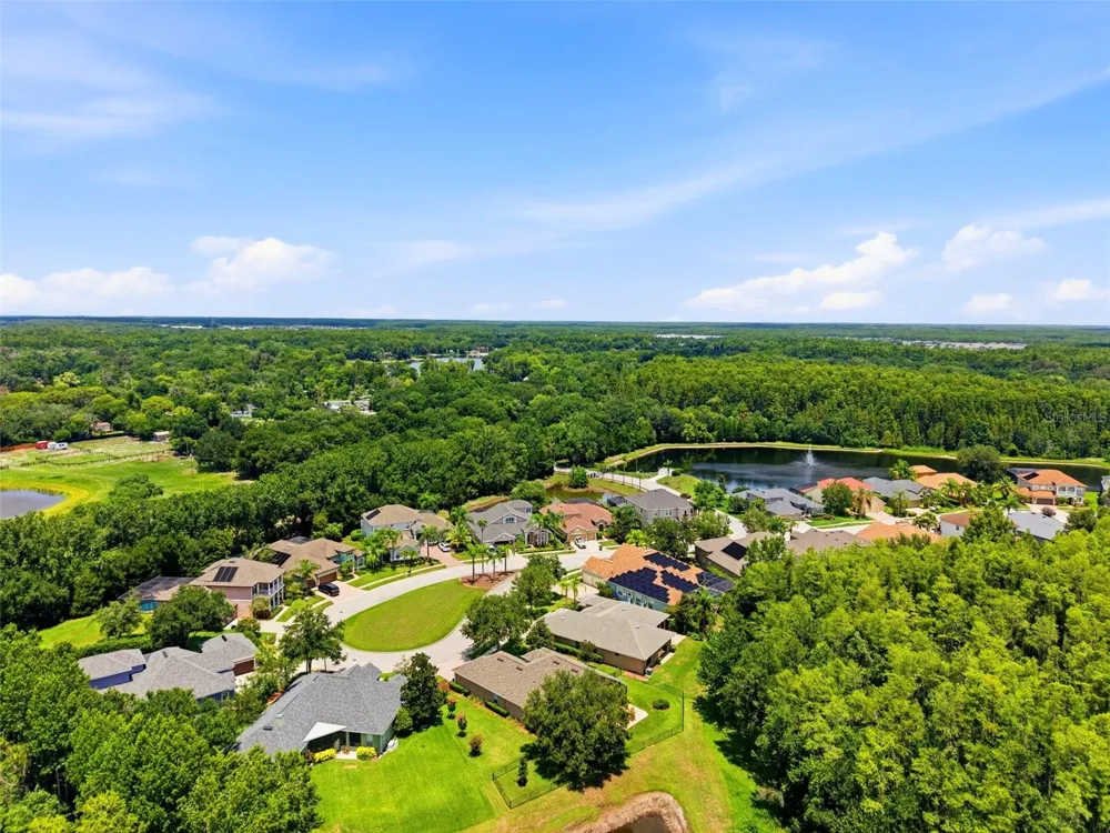 14828 MAN O WAR DRIVE Odessa, FL 33556