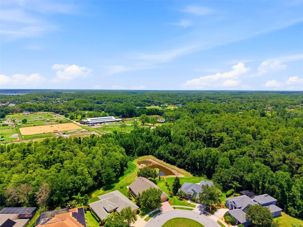 14828 MAN O WAR DRIVE Odessa, FL 33556