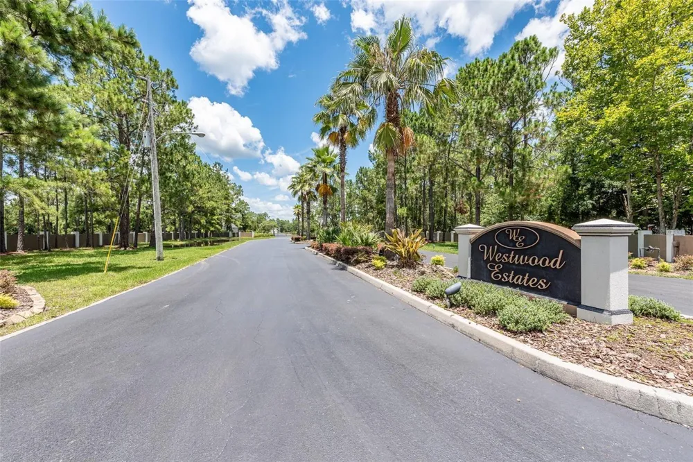 8616 SPRING FOREST LANE Wesley Chapel, FL 33544
