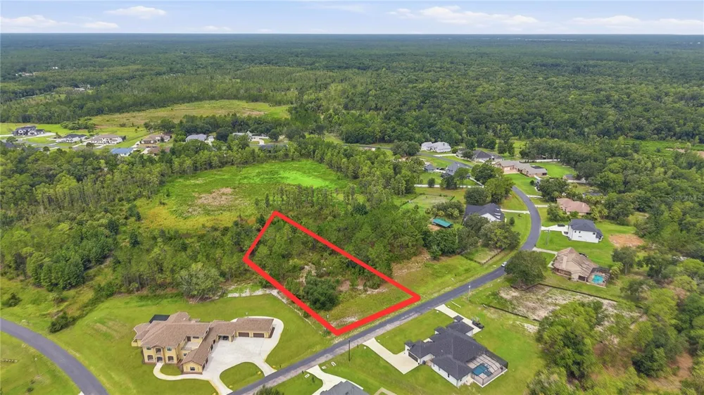 8616 SPRING FOREST LANE Wesley Chapel, FL 33544
