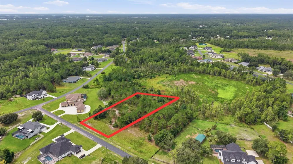 8616 SPRING FOREST LANE Wesley Chapel, FL 33544