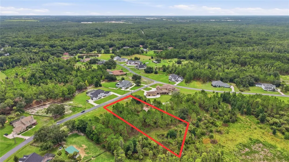 8616 SPRING FOREST LANE Wesley Chapel, FL 33544