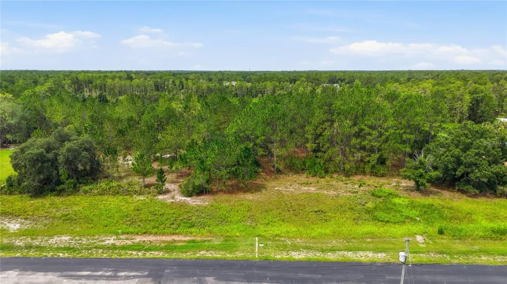 8616 SPRING FOREST LANE Wesley Chapel, FL 33544