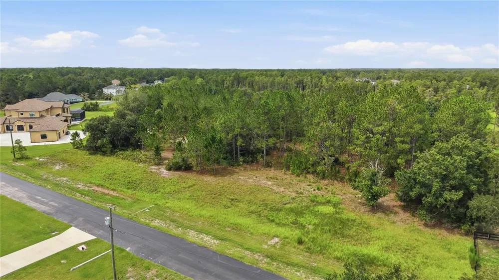 8616 SPRING FOREST LANE Wesley Chapel, FL 33544