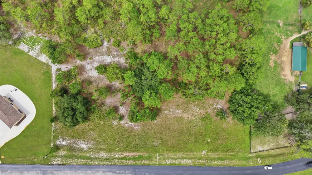 8616 SPRING FOREST LANE Wesley Chapel, FL 33544