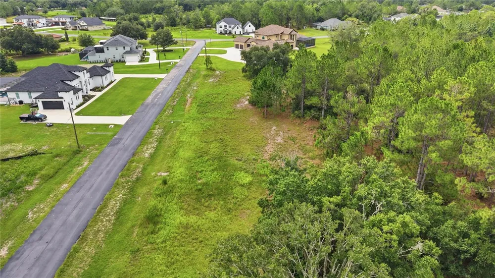 8616 SPRING FOREST LANE Wesley Chapel, FL 33544