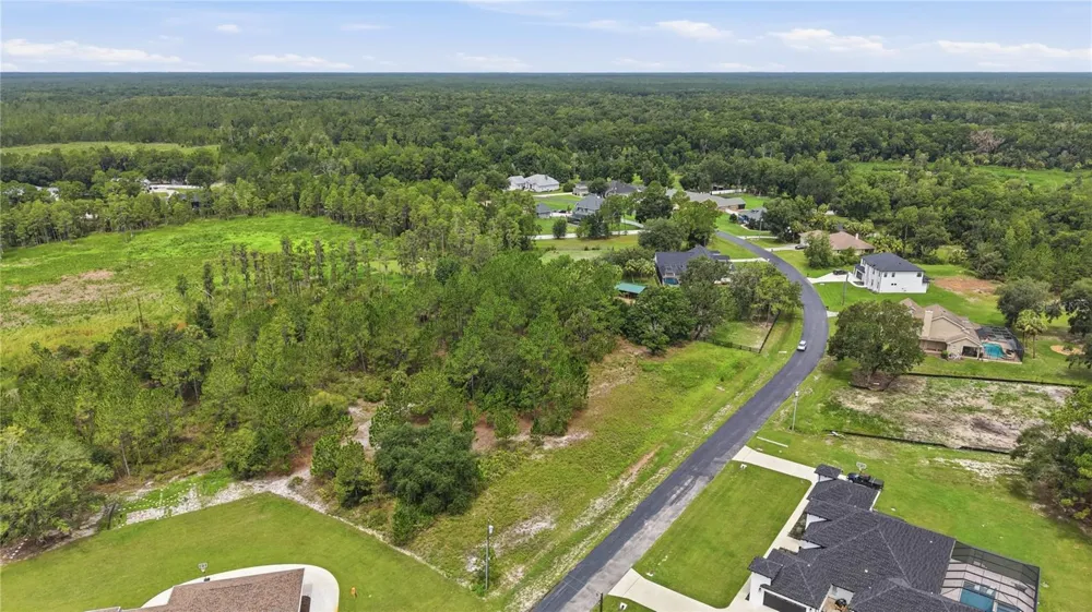 8616 SPRING FOREST LANE Wesley Chapel, FL 33544