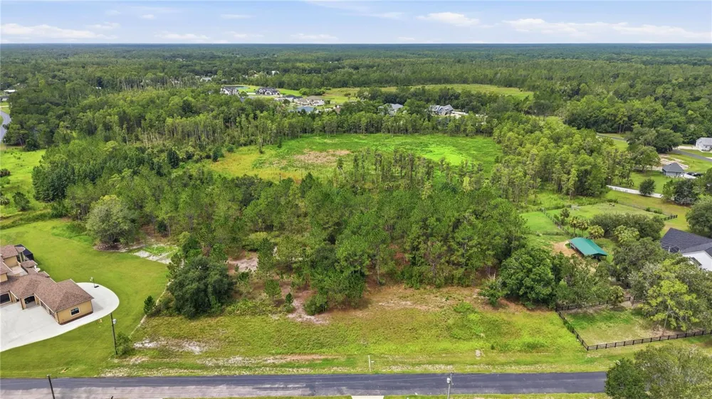 8616 SPRING FOREST LANE Wesley Chapel, FL 33544