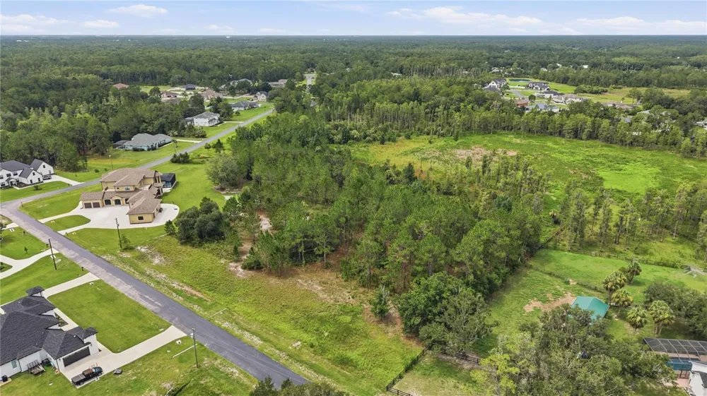 8616 SPRING FOREST LANE Wesley Chapel, FL 33544